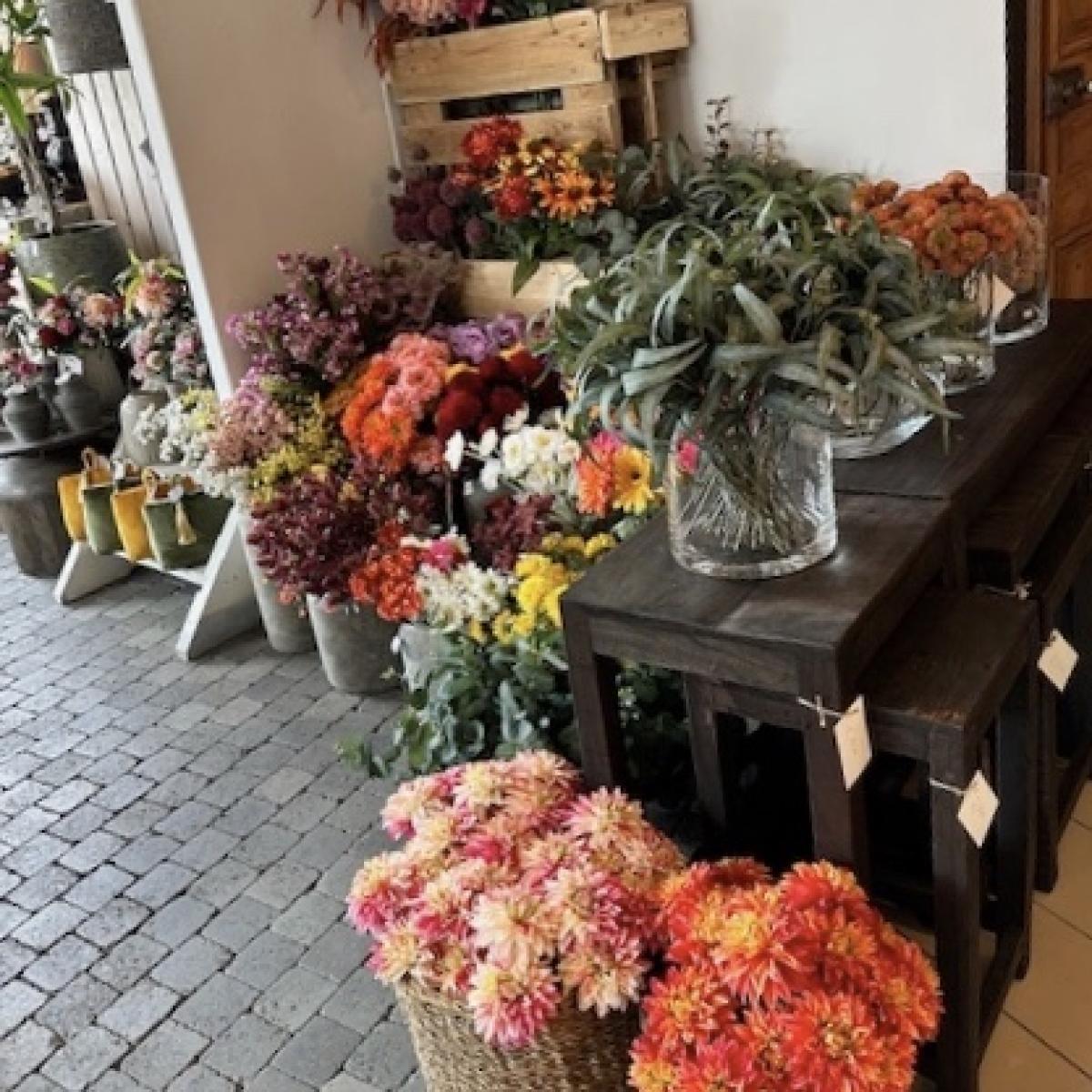 Decoratie Winkel Ann Decor
